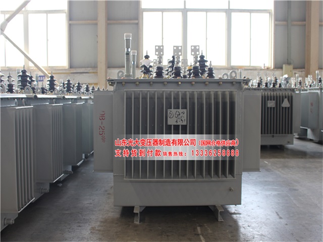 晋城S22-4000KVA油浸式变压器